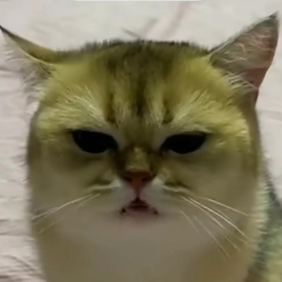 CrAzYcAt's avatar